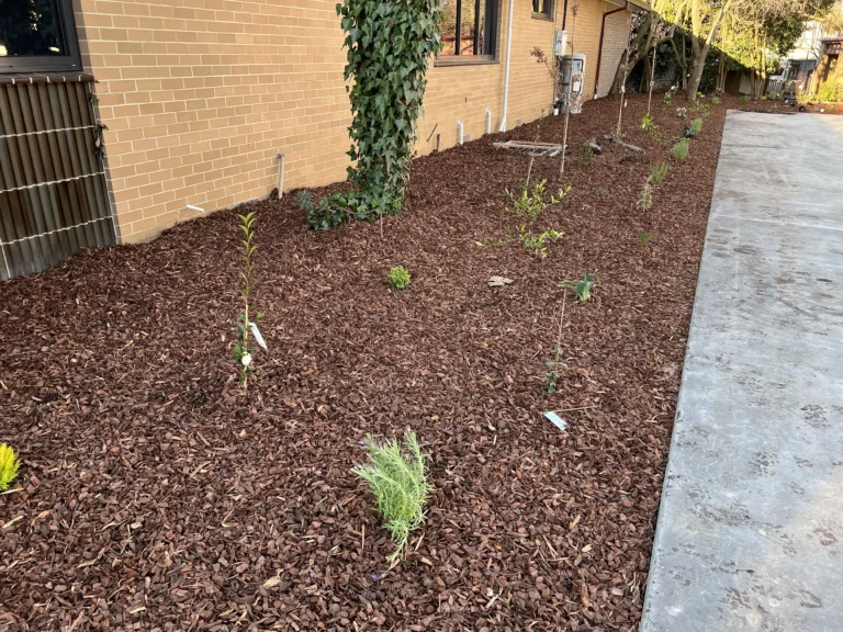 Freshly planted garden bed beside the newly constructed car park by Dirtworks.