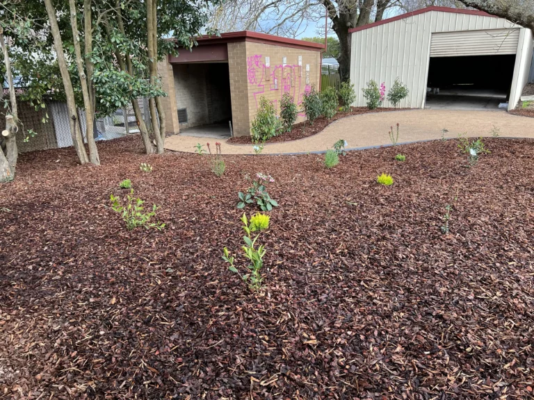 Garden bed with new plants and mulch beside a newly constructed car park.